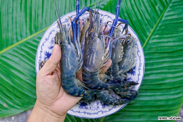 fried river prawn with garlic 02