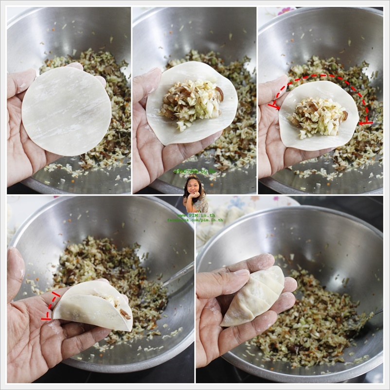 vegetarian gyoza 10655