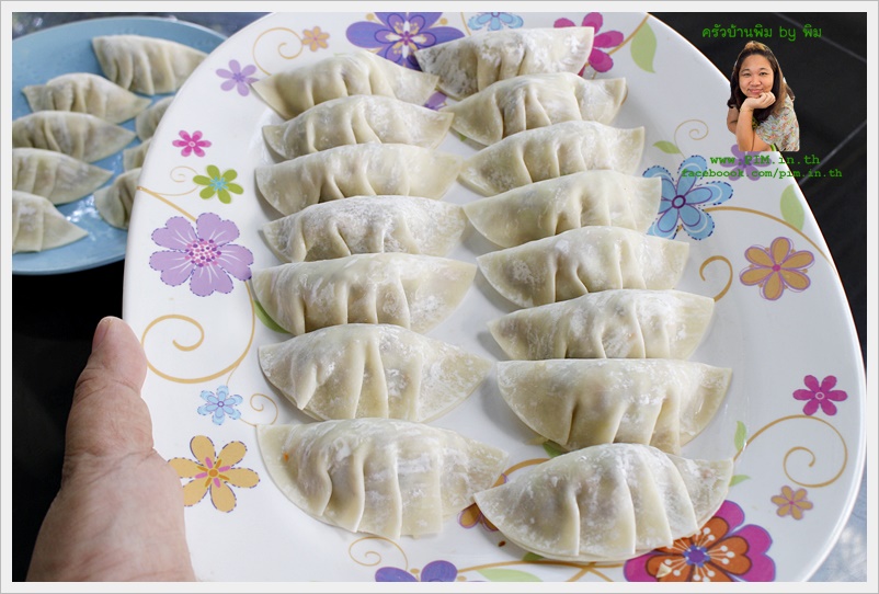 vegetarian gyoza 107