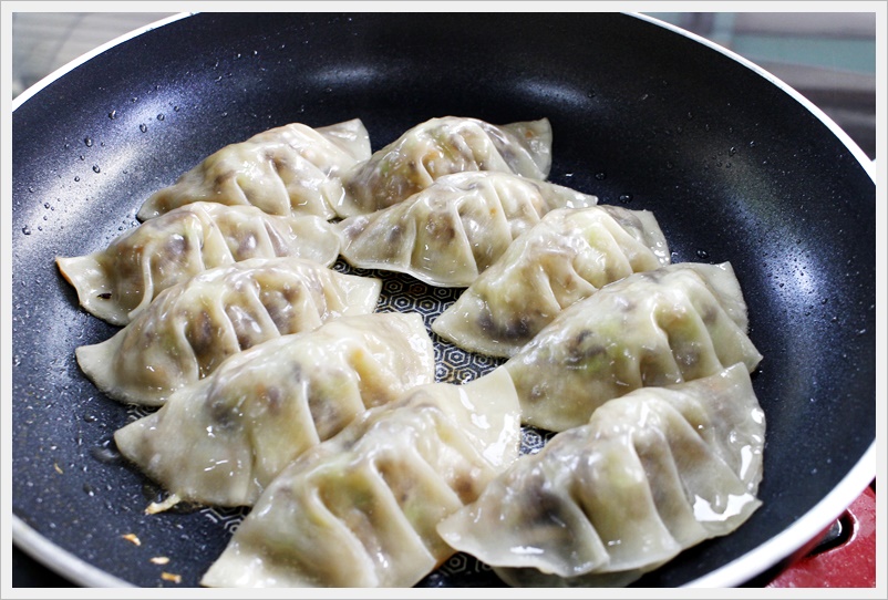 vegetarian gyoza 114