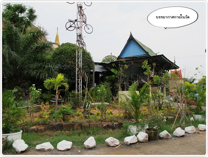 http://pim.in.th/images/pim-travel/goto-chaiyaphum/2/gotochaiyaphum2-20.JPG