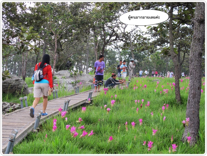 http://pim.in.th/images/pim-travel/goto-chaiyaphum/4/goto-chaiyaphum4-58.JPG