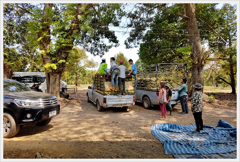 koh mak day1 10