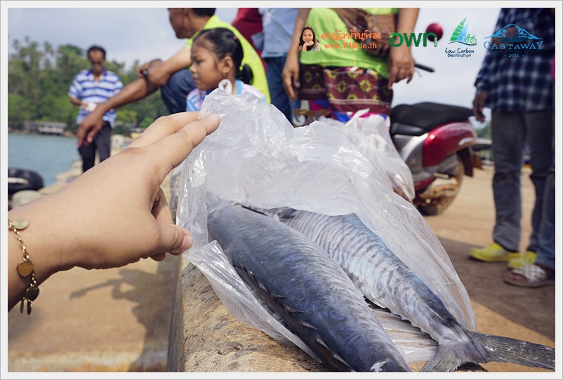 koh mak day3 14